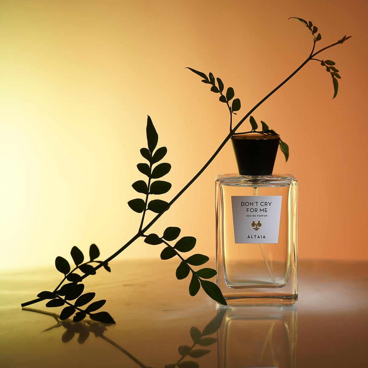 【NEW限定品】 Don't Cry Altaia – Me For 香水(女性用)